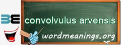 WordMeaning blackboard for convolvulus arvensis